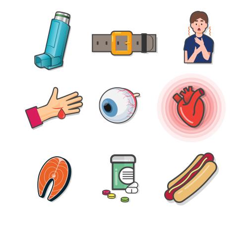 Divers icônes développés pour le CISSS de la Montérégie-Est